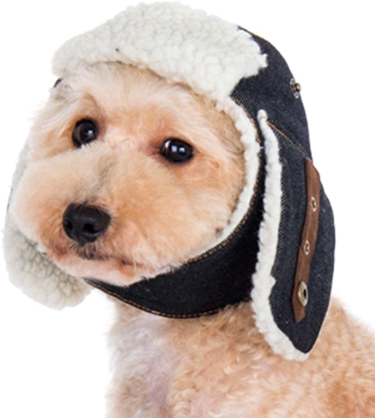 DOGO DESIGNDogo Trapper Hat for Cat Dog Puppy Pet (M)