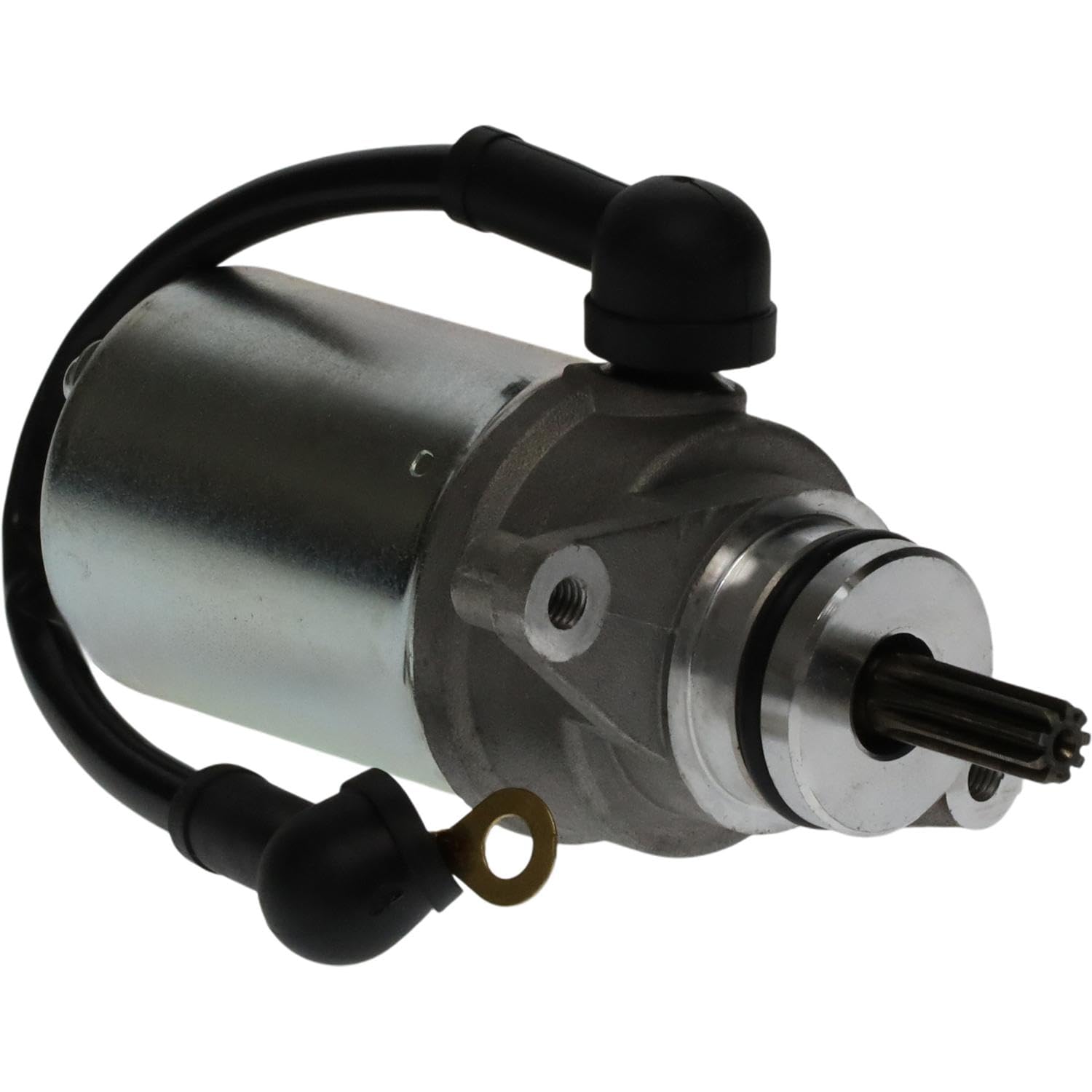 Amazon.com: OEG Parts New Starter Compatible with 50CC 80CC Raptor