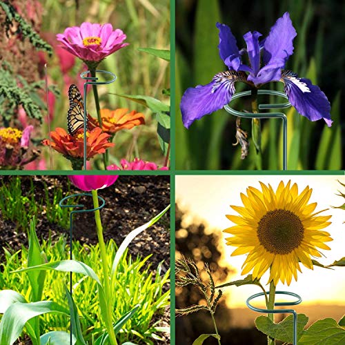 HiGift 20 Pack 24 Inch Single Stem Plant Support Stakes, Flower Stakes and Supports Rings for The Garden, Metal Garden Stakes for Tall Plant Vegetables Amaryllis Orchid Lily Sunflower Rose Narcissus - Thumbnail 5
