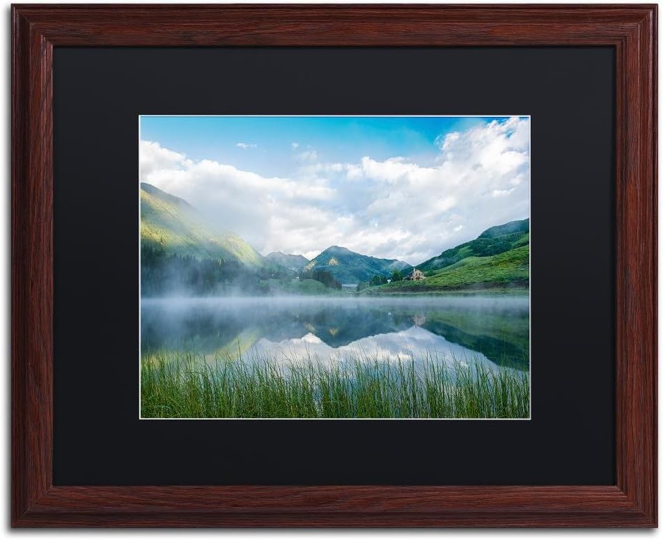 Trademark Fine Art ALI3780-W1620BMF Fog in The Mirror by Michael Blanchette Photography, Black Matte, Wood Frame 16×20-Inch, 16×20