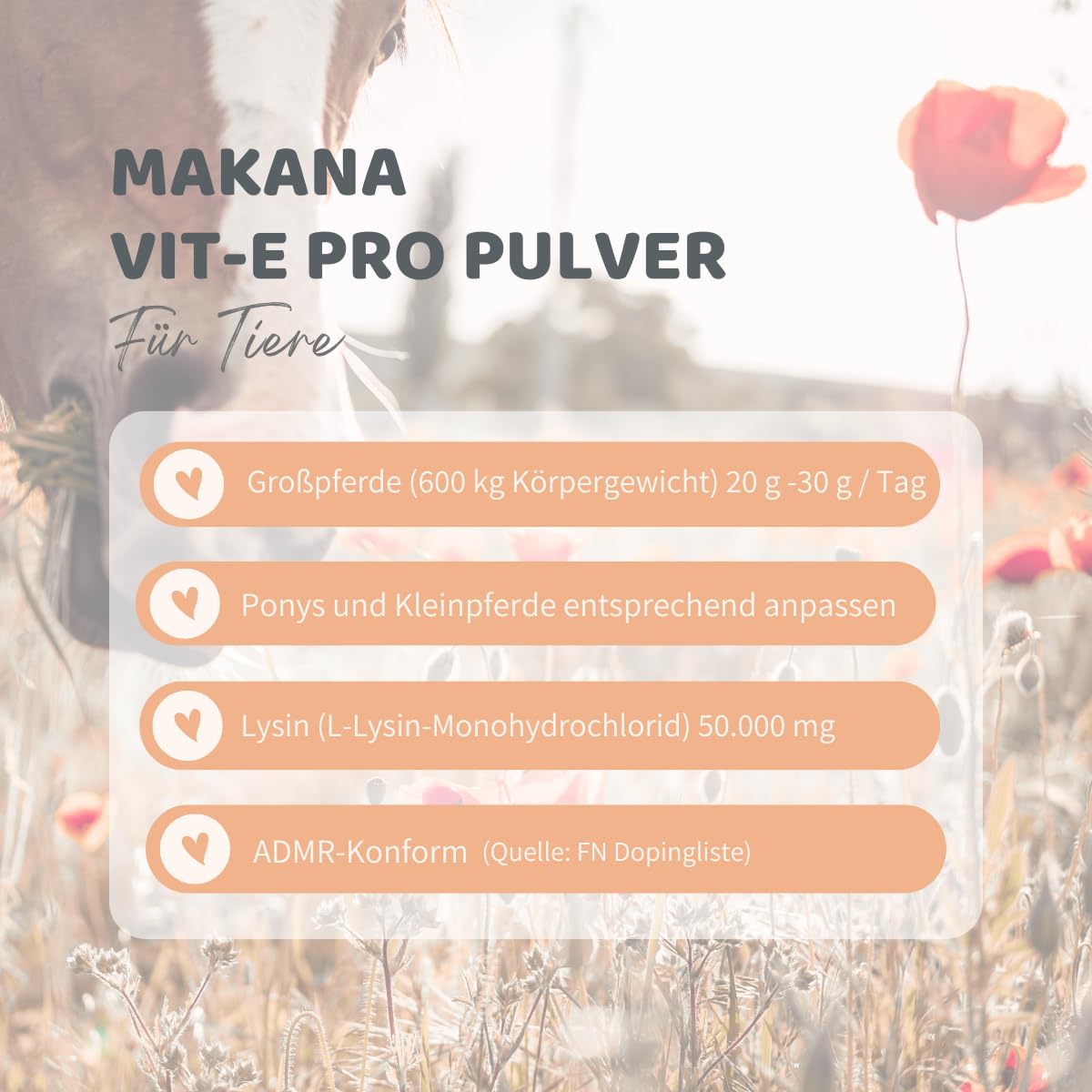 Makana VIT-E PRO Pulver für Pferde, OHNE SELEN, 1 kg
