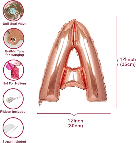 Miniatura 4 de Guirnalda de globos Lets Get Nashty, decoraciones de despedida de soltera de Nashville, Nashville, decoraciones de cumpleaños, globos de despedida