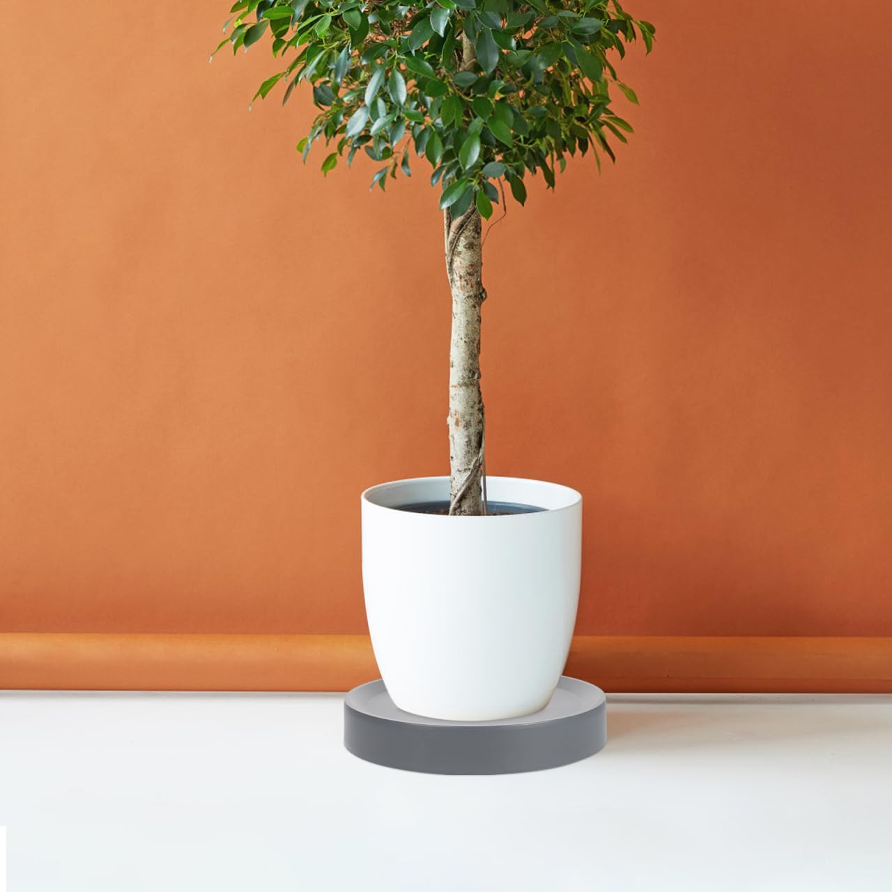 DOITOOL Support Plantes À roulettes 9 Pouces Caddie Végétal Robuste avec Roues Omnidirectionnelles Silencieuses pour Déplacer Pots Lourds Intérieur Extérieur