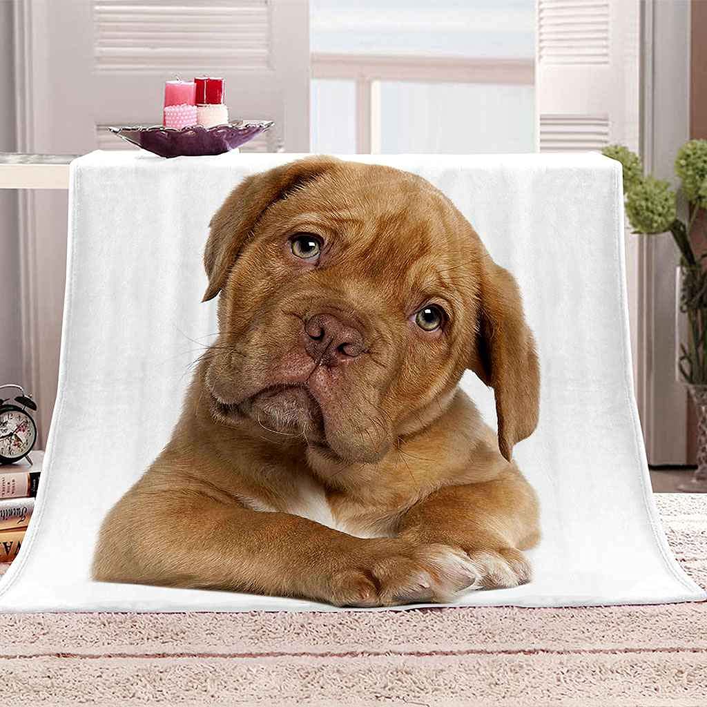 Couverture chiot 150x200cm idéale pour cocooner en hiver sur votre canapé