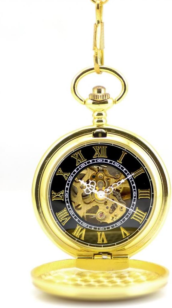 Infinite U Golden Shield Roman Numerals Hollow Skeleton Steel Mechanical Pocket Watch