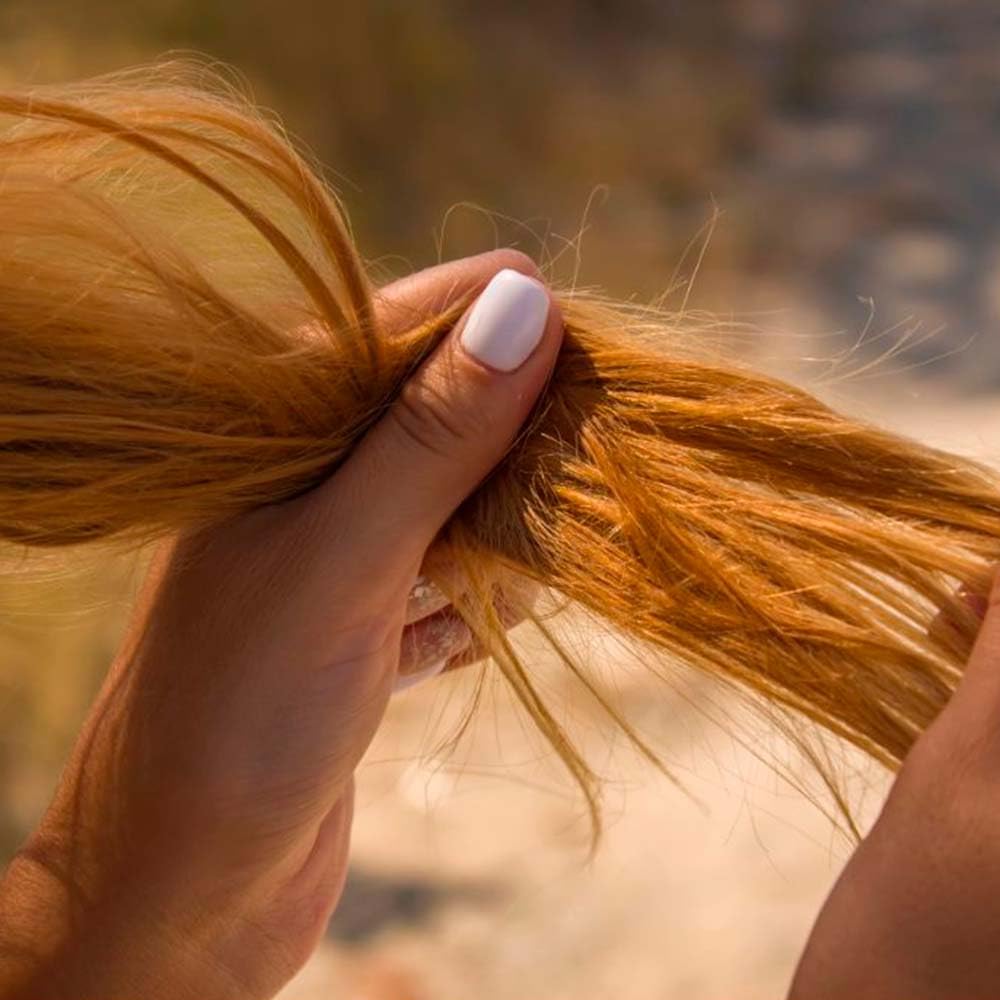 Champú sólido para cabello seco o quebradizo - 100% natural - Aporta suavidad y rutrición al cabello - Previene puntas abiertas - Hecho en España - Pack 4 ud