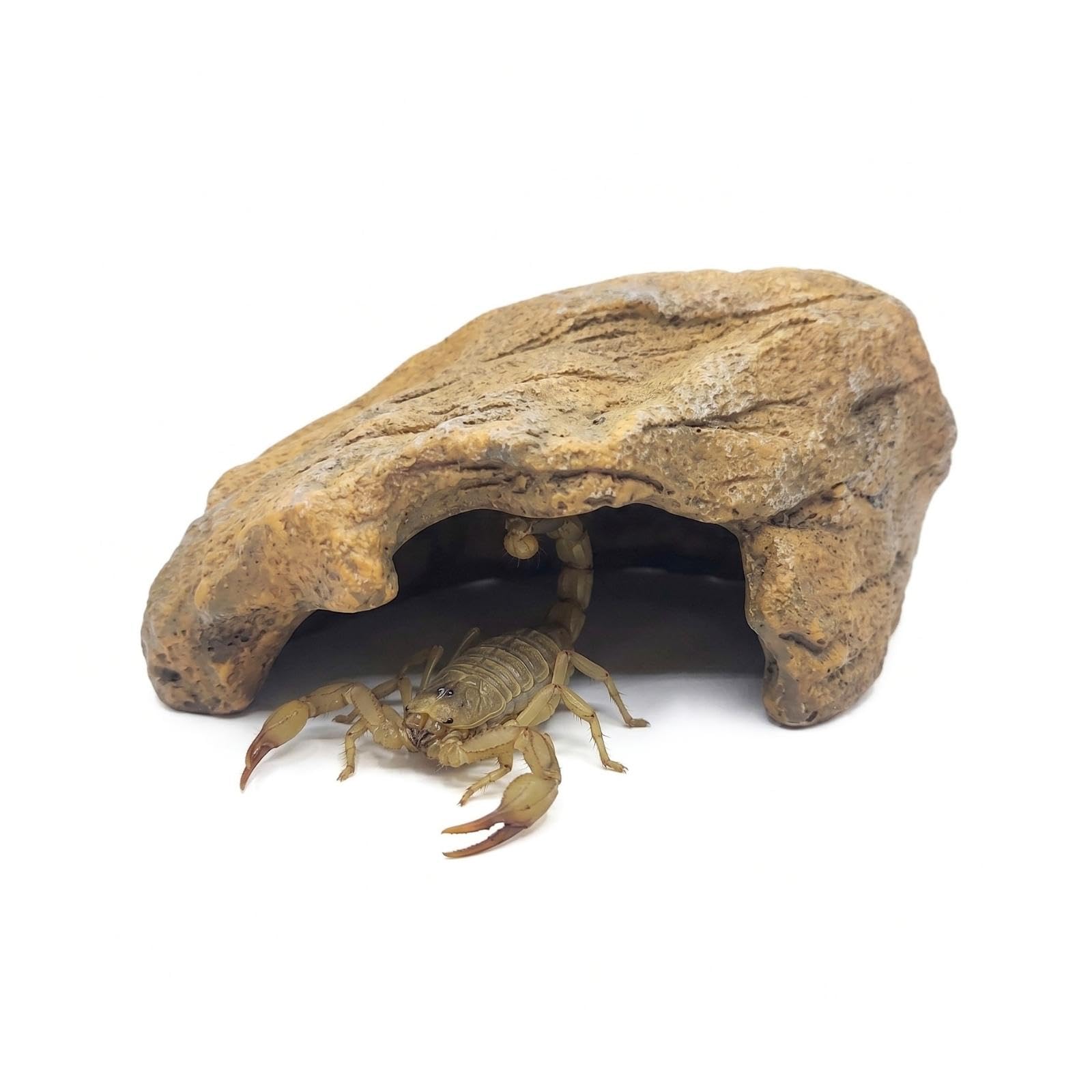 FLZOOY Reptile Hide Cave Amphibians Terrariums Rock Hideout 11.5x8.1x6cm