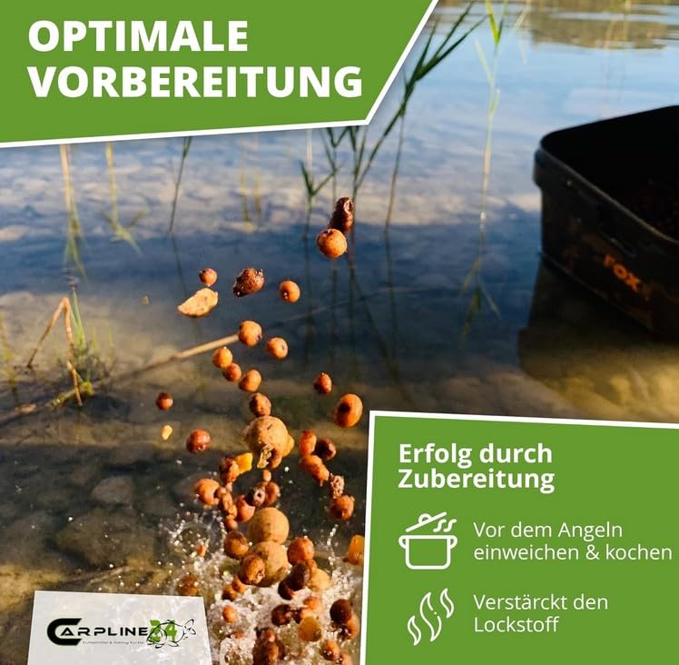 Black Tigers Tigernüsse Mix - 10 Kg - 8 bis 22 mm, Tigernuss Angelköder für Karpfen, zum Anfüttern & Angeln, Grundfutter, Carp Baits, Fischfutter & Karpfenköder, geringer Beifang