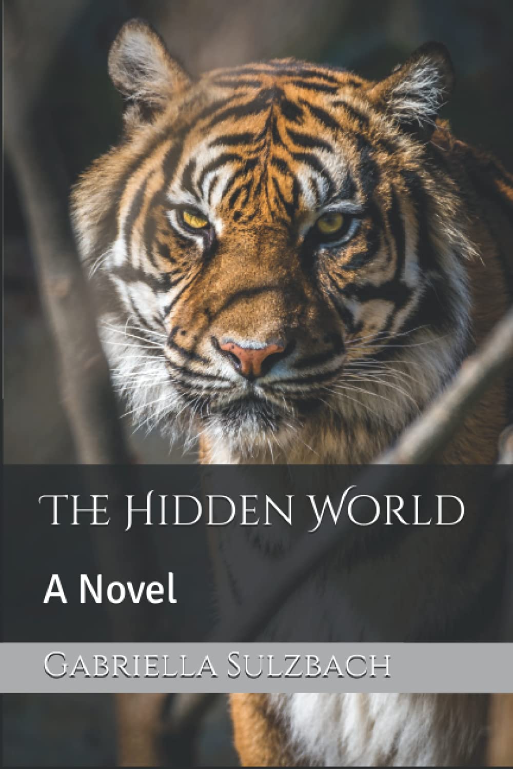 The Hidden World: A Novel