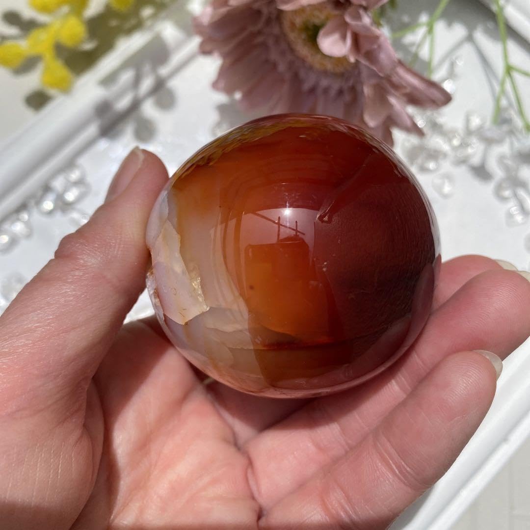 Amazon.co.jp: カーネリアン スフィア 笑い口 小 : Office Products