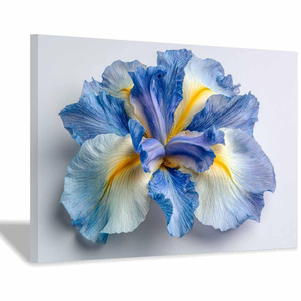 ZAMAEIU Forest Landscape Painting Petals withs veins Canvas Artwork posters & prints Suitable for Living Room Bathroom Bedroom Home Wall Decoration(blue)-20x30cm Framed