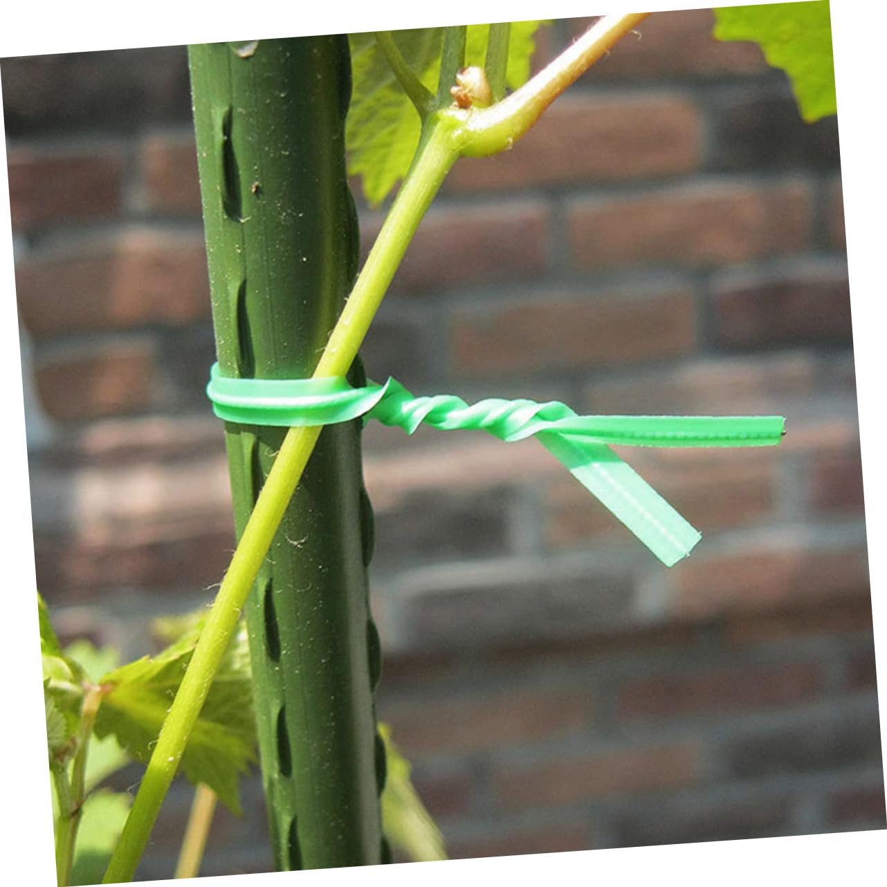 Kisangel 2000stücke Flexible Pflanzenbinder Für Garten Und Pflanzenunterstützung Für Fixieren Von Pflanzenstängeln Training Von Kletterpflanzen