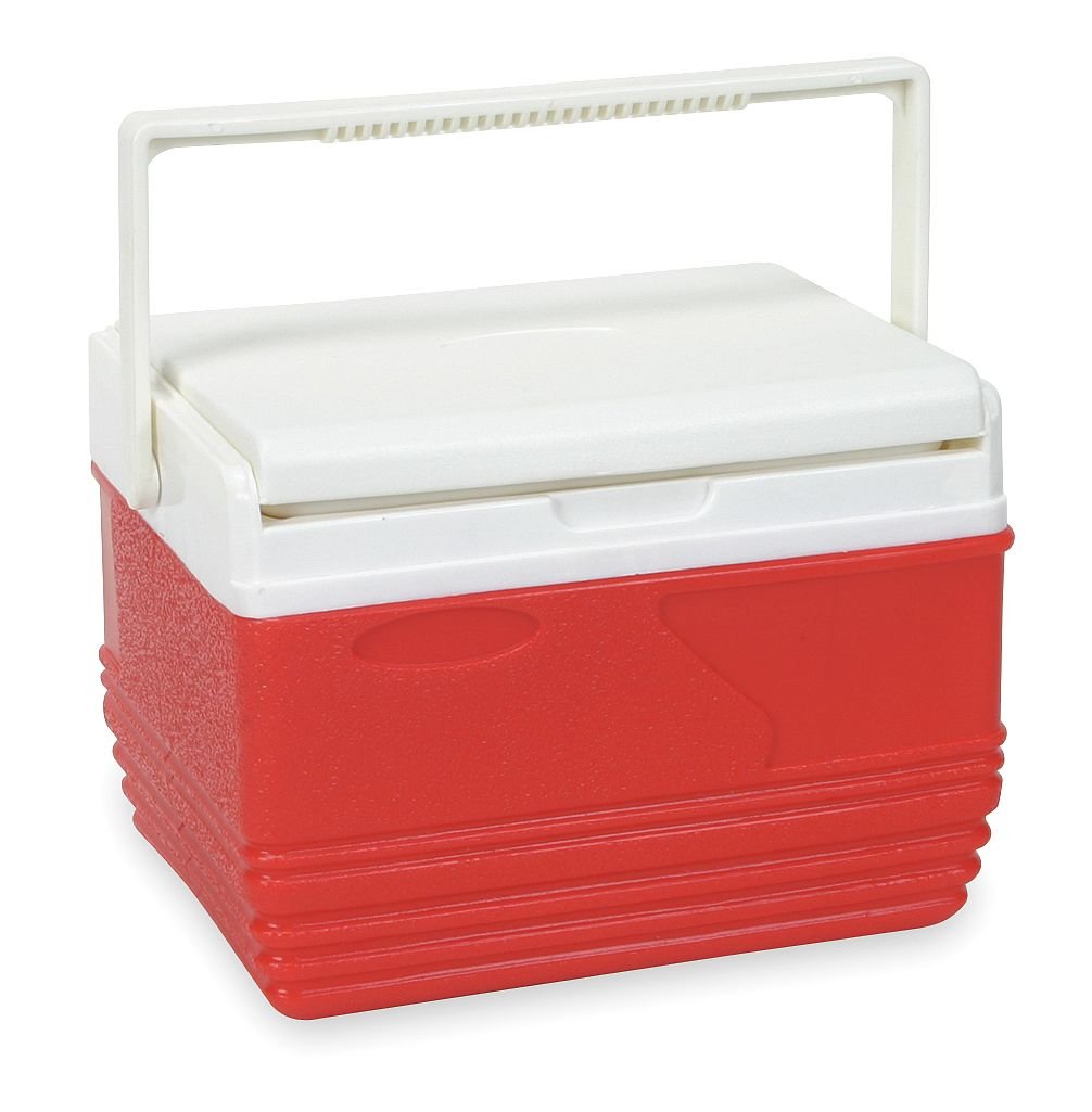 Industrial Grade 4AAP9 Cooler, Personal, 11.6 Qt, Red, Flip Lid