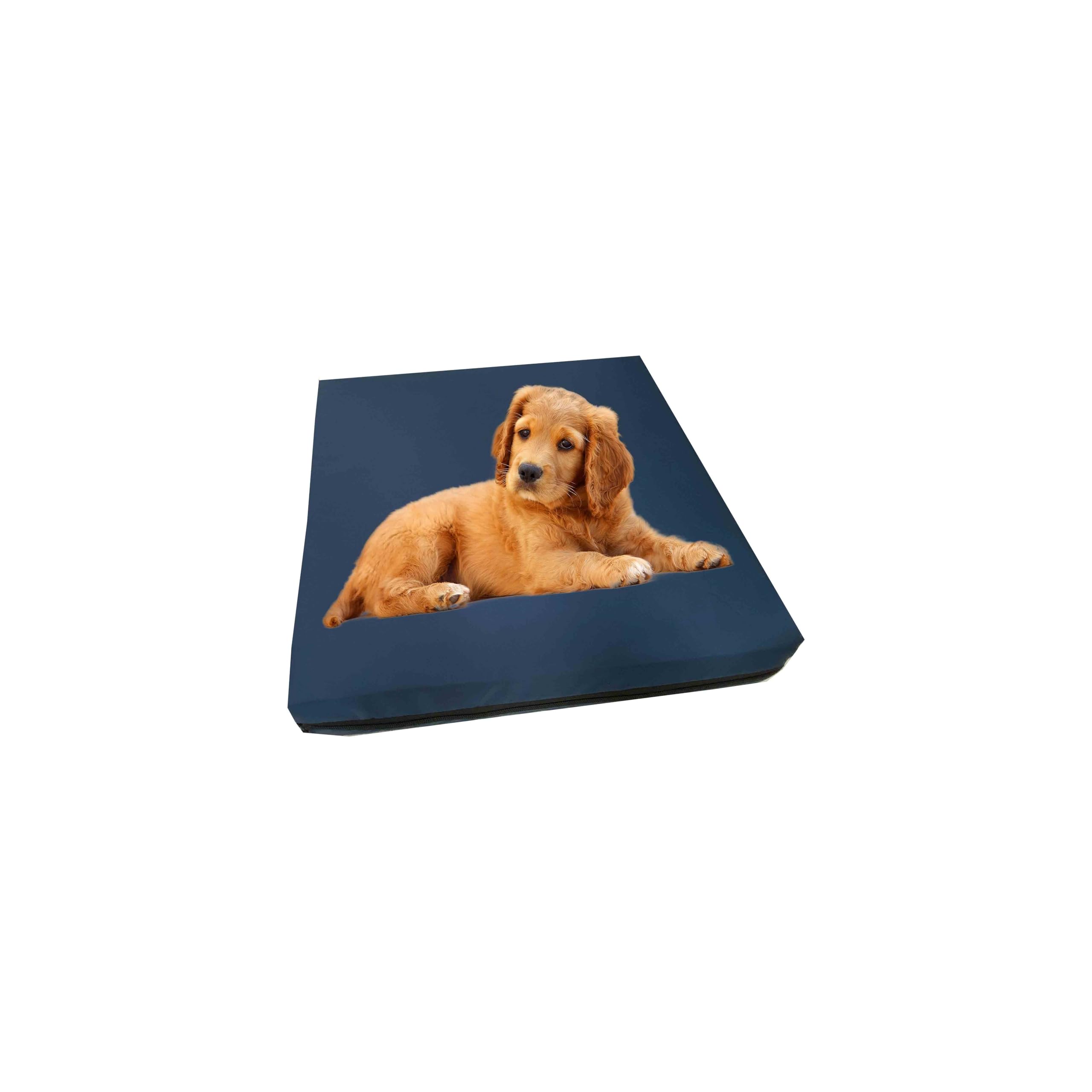 GRIZZLY FOAM Waterproof Dog Bed Cushion and Mattress for Indoor and Outdoor Use with Washable & Removable Zipped Cover and Custom (Navy, 122x78x5cm)