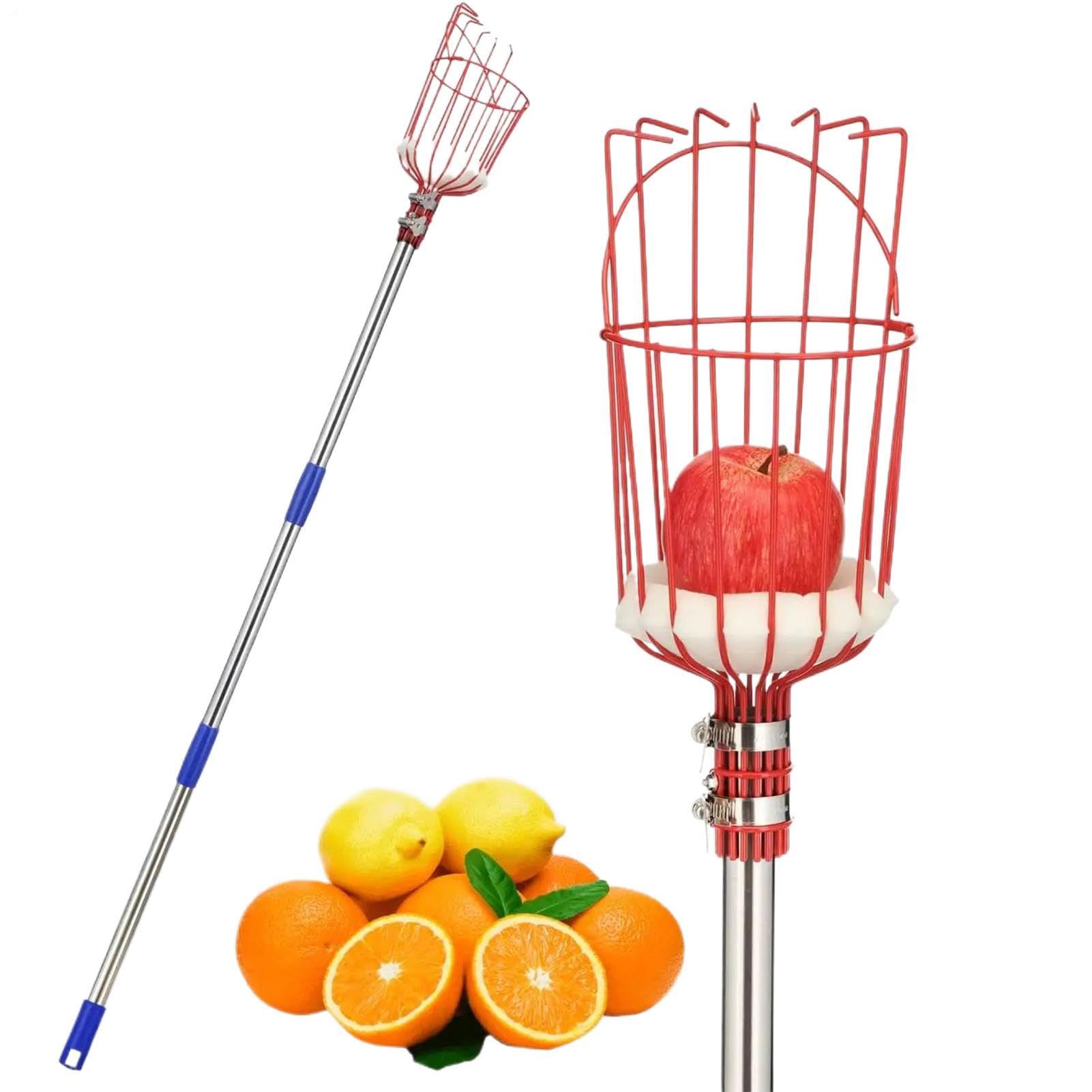 Perche Cueille-Fruits Télescopique Avec Panier Portable