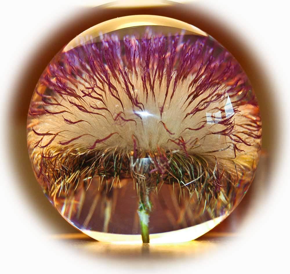 Briefbeschwerer offene Distel
