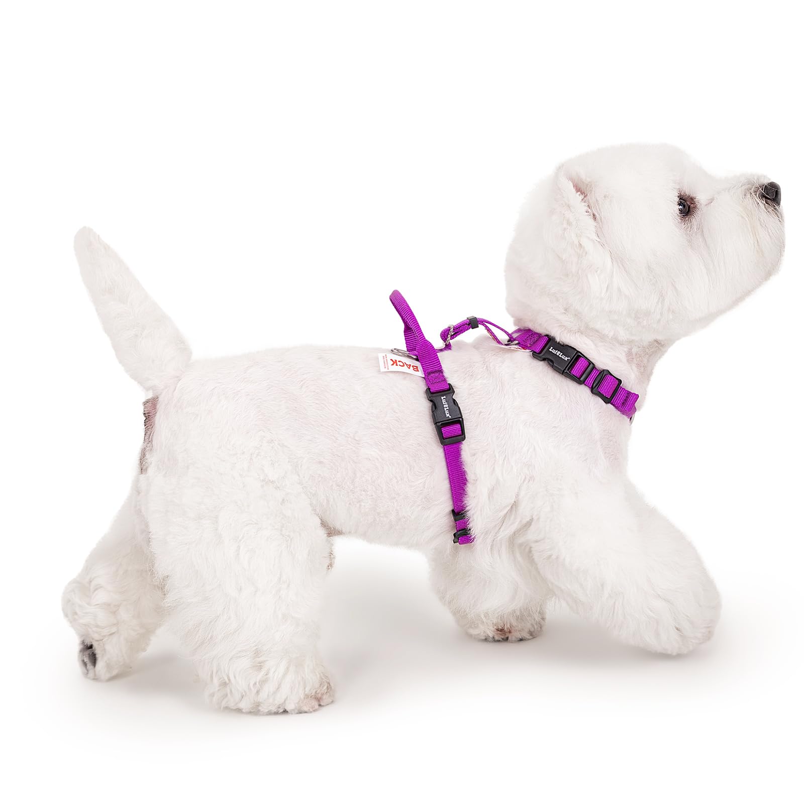 LufeLux Non Restrictive Dog Harness, Purple, X-Small — image 1