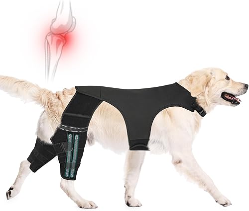 Rodillera para perro para patas traseras, soporte de ACL – Soporte ajustable de doble pierna de perro para aliviar el dolor en las articulaciones,