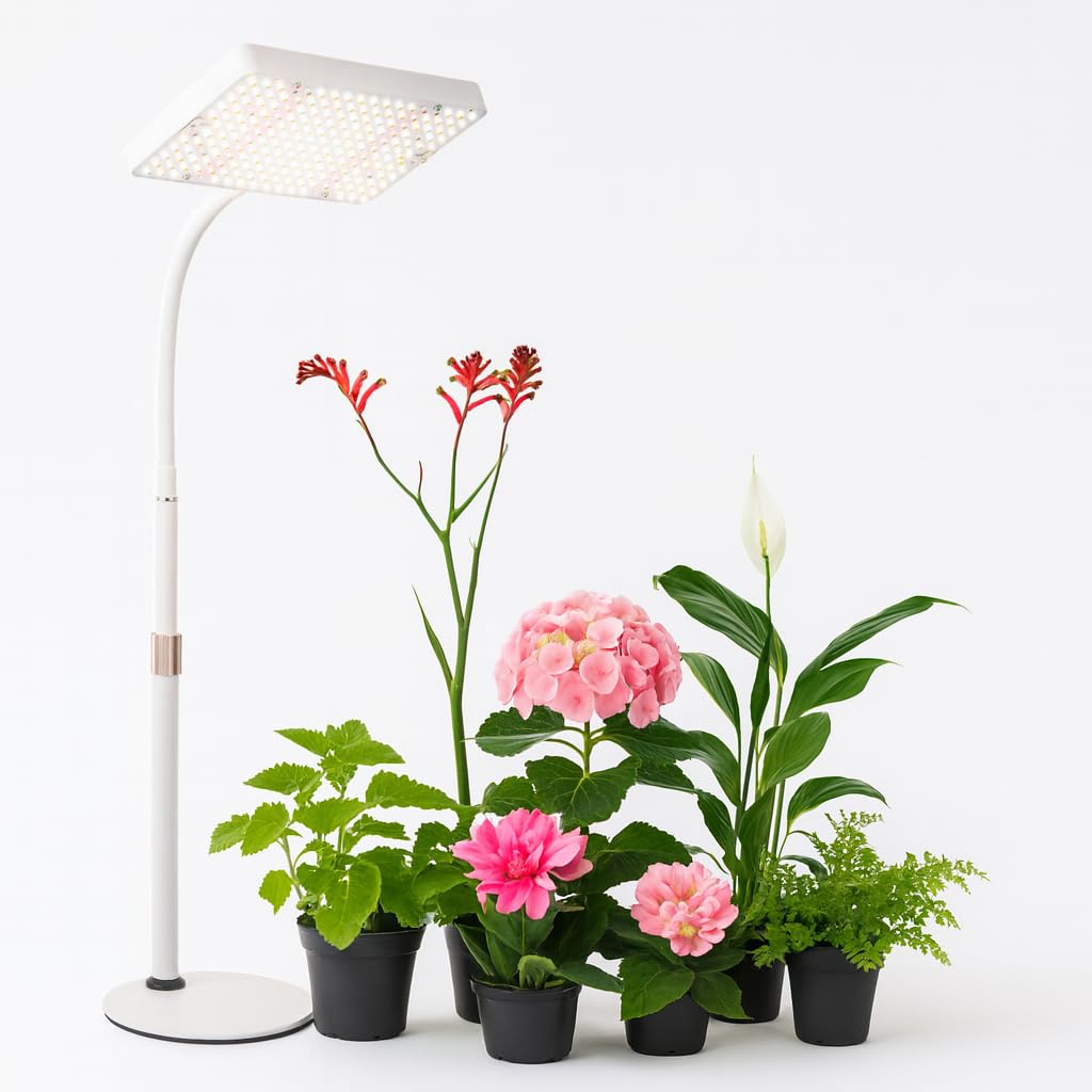 Lampe de culture de table pour le démarrage des graines, 25 W, lumière de bonsaï, hauteur réglable de 40,6 à 61 cm, lampes de culture de bureau pour toutes les plantes d'intérieur, fonction