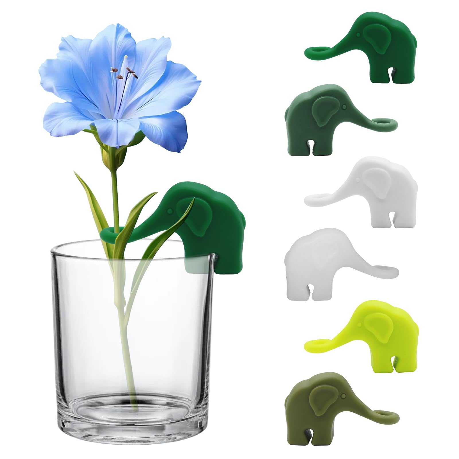 Supports de propagation de plantes x6 pour boutures d'intérieur