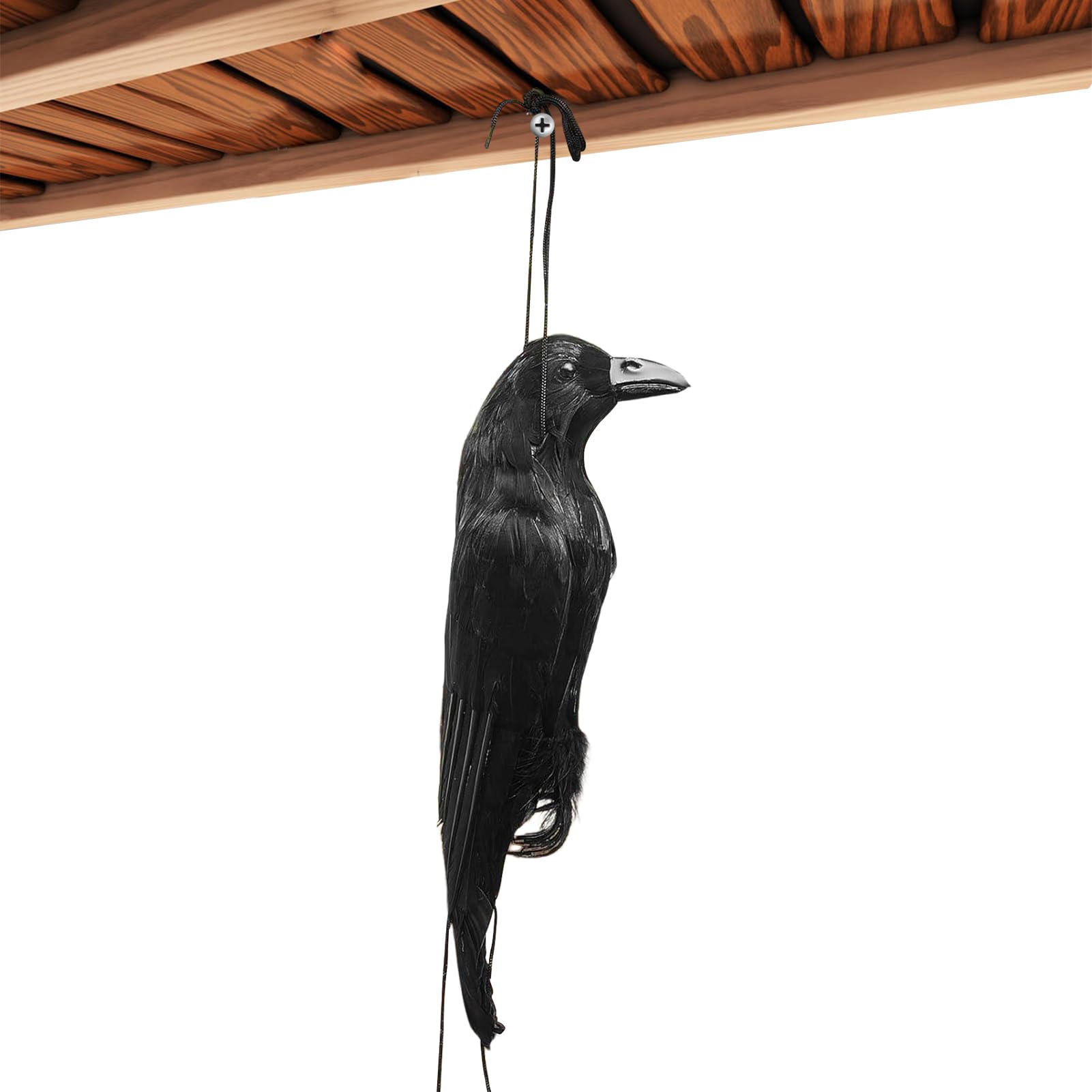 Cuervos negros de Halloween: acabe con los adornos sosos en su terraza