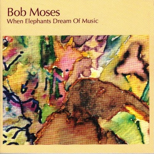 When Elephants Dream of Music [Audio CD]