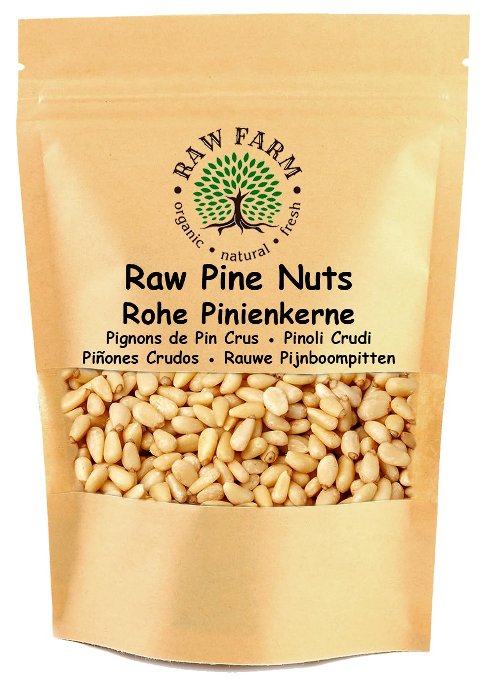 500 g Raw Pine Nuts – Premium Whole Nuts, Unsalted & Unroasted | All-Natural Keto & Paleo Snack | Perfect for Pesto, Salads & Baking, Gluten & Soya Free