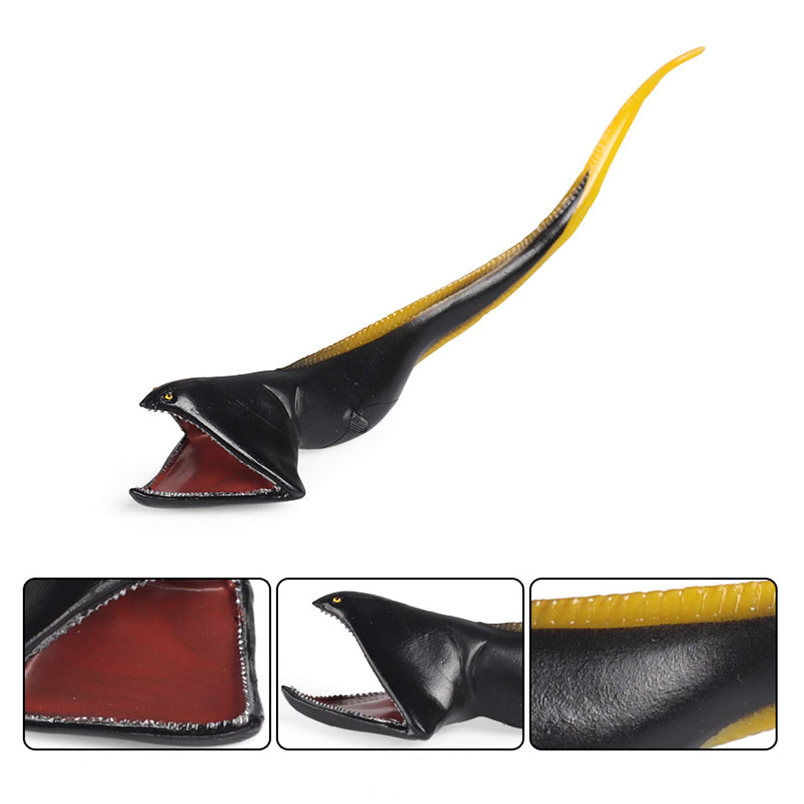Amazon.co.jp: Eden Toys フクロウナギ 魚類 深海魚 動物 プラモデル