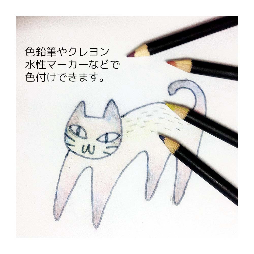 Amazon.co.jp: ナカトシ クラフトプラバンフロスト ホワイト