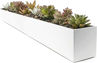10 Trough Planter Ideas for Long and Narrow Spaces 37 Buhbo White Rectangle Planter - Modern Steel Trough for Succulents, Indo...