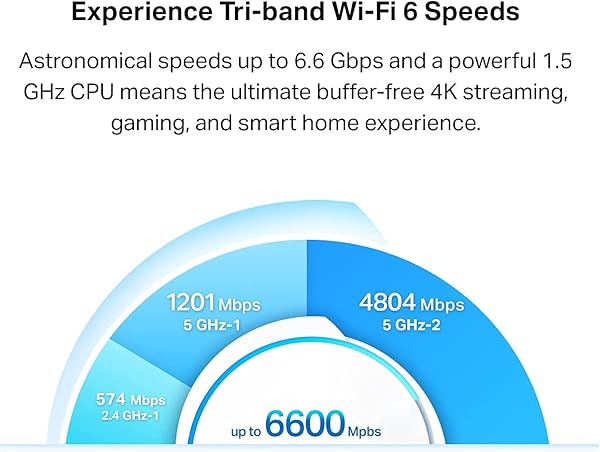 AX6600 Whole Home Mesh Wi Fi System