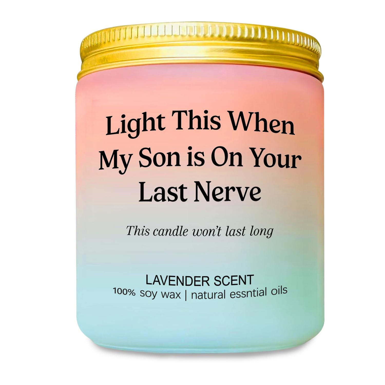 Daughter in Law Gifts for Mothers Day Christmas Wedding Birthday, Soy Wax Candle for Future Daughter in Law from Mother-in-Law, Funny Present for Son's Girlfriend