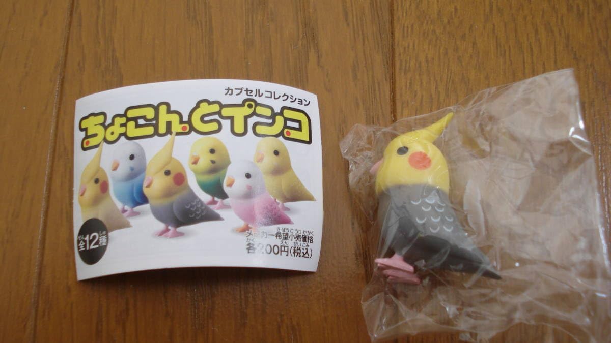 Amazon.co.jp: ◇ちょこんとインコ「オカメ灰色（フィギュア