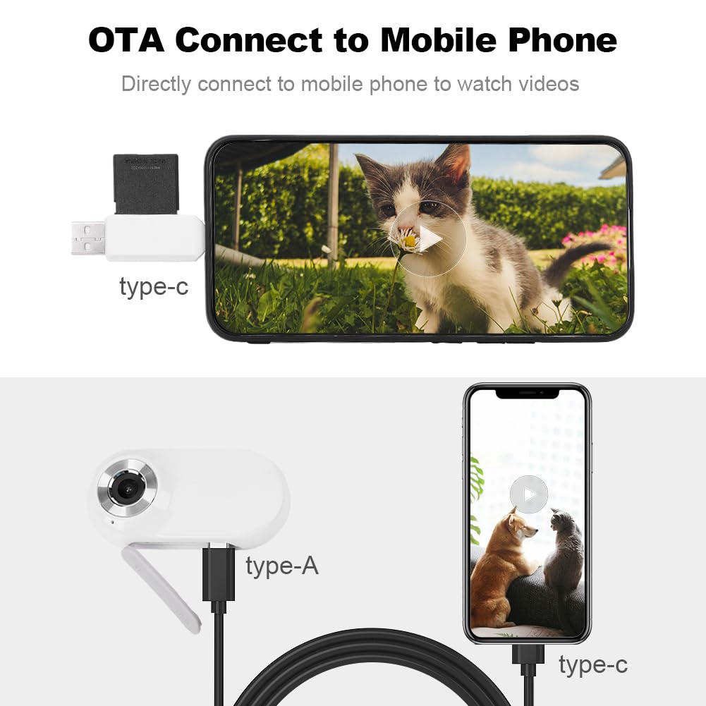 Collar para Cámara de Gato Con Tarjeta SD 32GB, HD 1080P, Mini Cámara Inalámbrica de Acción para Mascota, Al Aire Libre