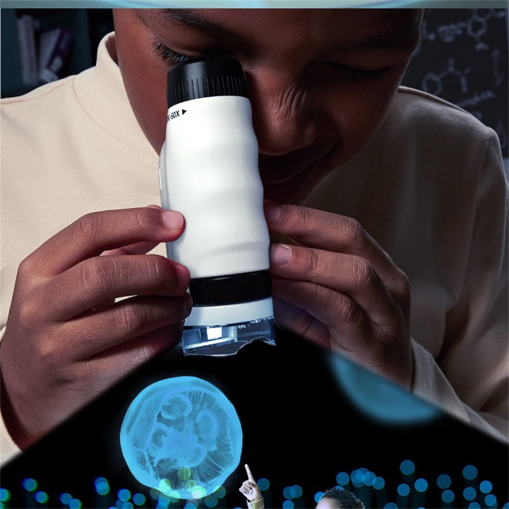 Microscopio Mini portátil para experimentos biológicos (D como se Muestra)