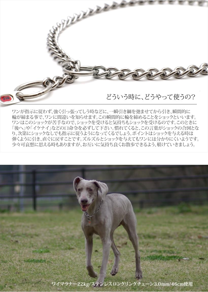 Amazon | ザ・ブラックラブカンパニー 小・中型犬用 ステンレスラウンドチョークチェーン 2.0mm/30cm 犬グッズ専門店 オリジナル |  ザ・ブラックラブカンパニー | チョークカラー 通販