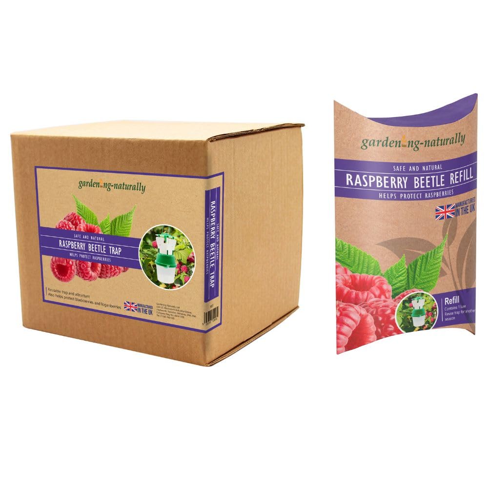 Raspberry Beetle Trap Or Refill Pheromone Lure Insect Control (Trap And Refill)