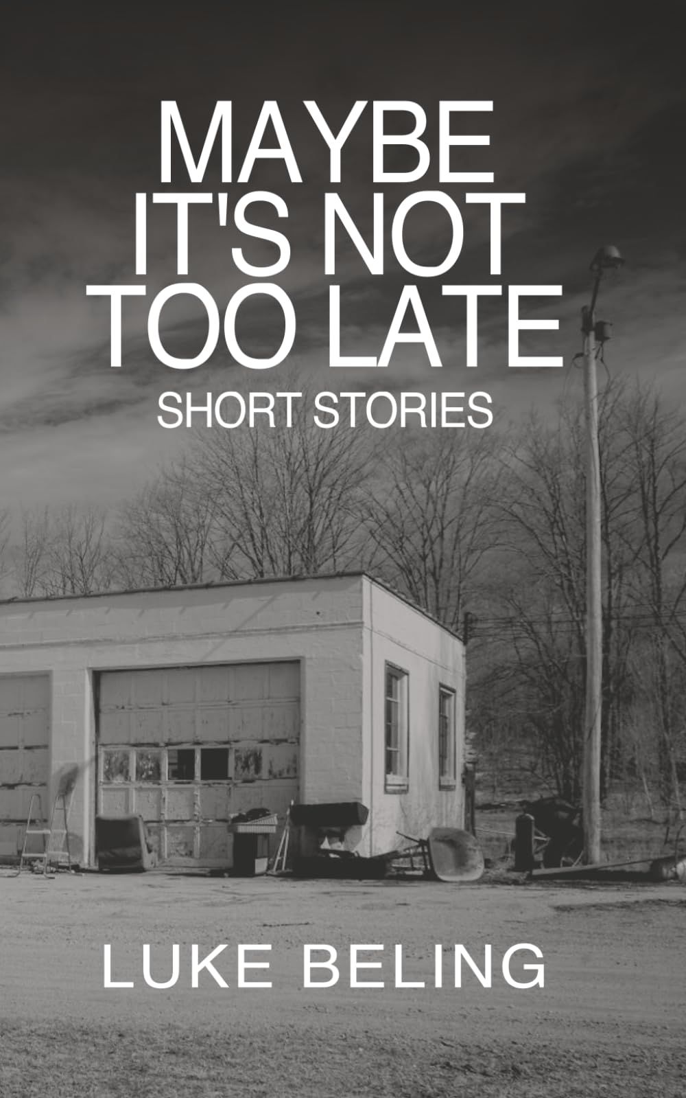 Maybe It's Not Too Late: Short Stories