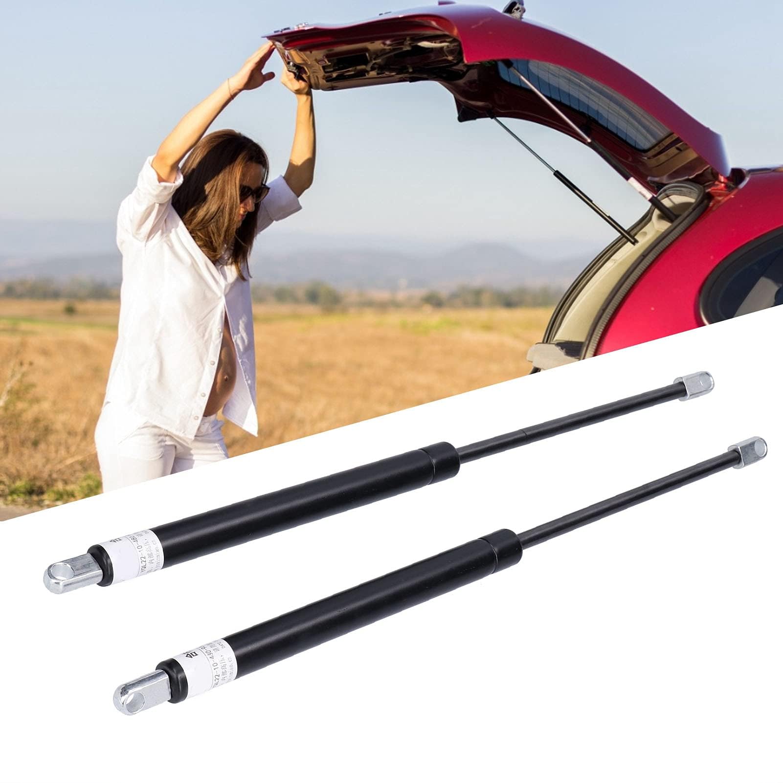 Molla a Gas 480mm 700N, 2 Pezzi, Acciaio, Corsa 200mm, Ammortizzatore per RV Letto Tonneau