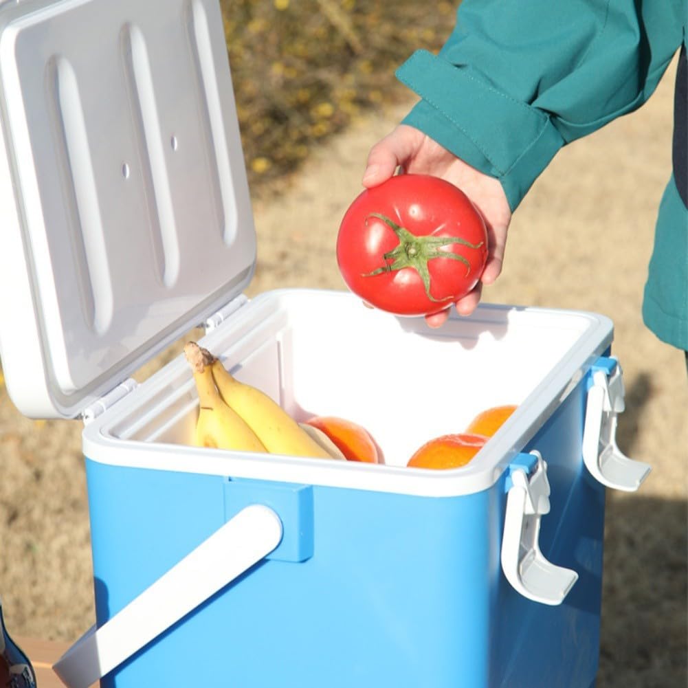 10L Isolierte Kühlbox mit Tragegriff Kühlbox für Camping Picknick Outdoor