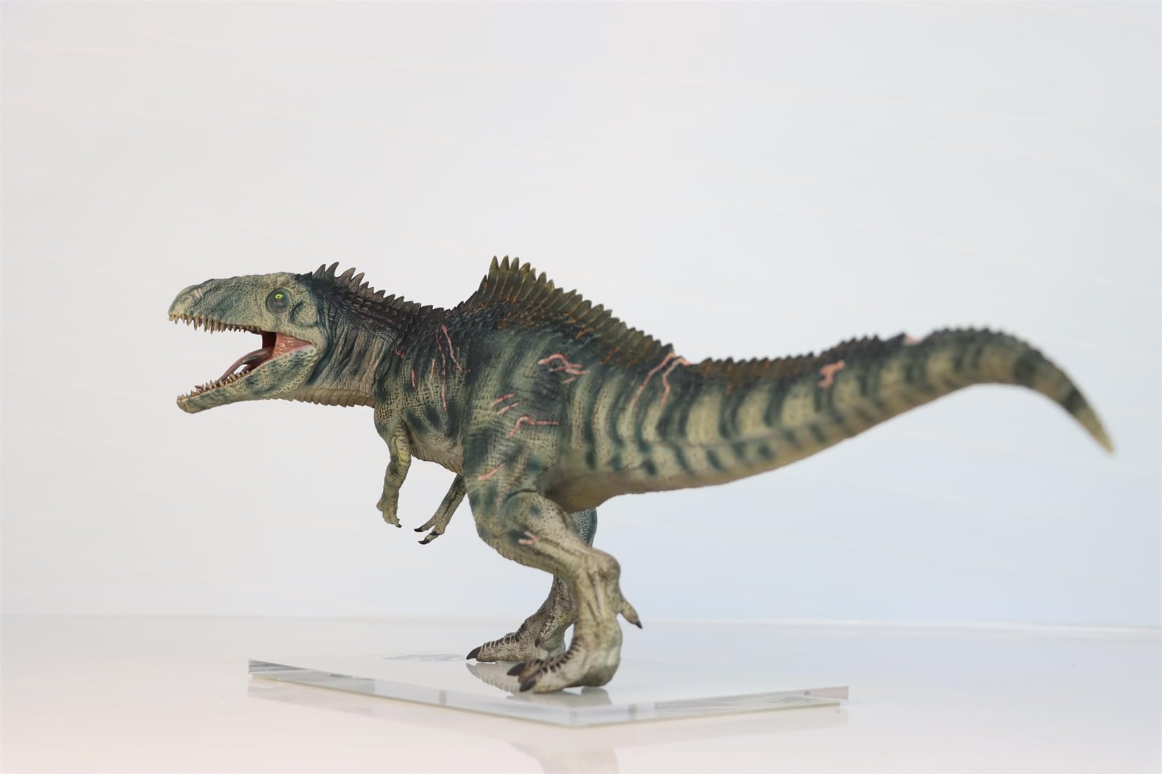 Amazon.com: 1:30 Scale Giganotosaurus Figure Dinosaur Collector