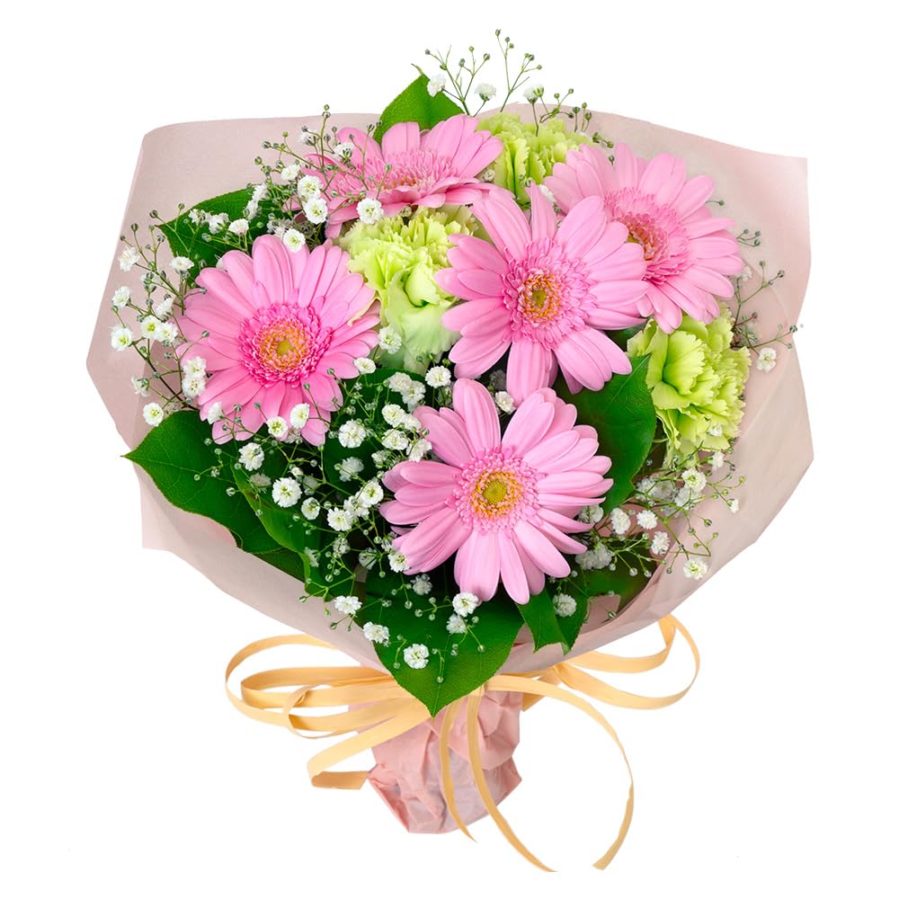 11月の誕生花（ガーベラ）】花キューピット 誕生日 お祝い 記念日