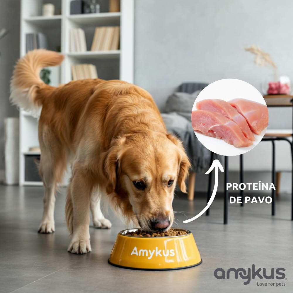 Grain Free Turkey 8 kg | Pienso para Perros Adultos | Sin Cereales | con Pavo | Alta Digestibilidad | Sensibilidad e Intolerancias Alimentarias
