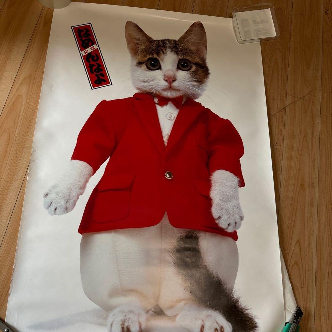 Amazon.co.jp: レトロ なめ猫 なめんなよ 暴走族 ポスター : ホビー