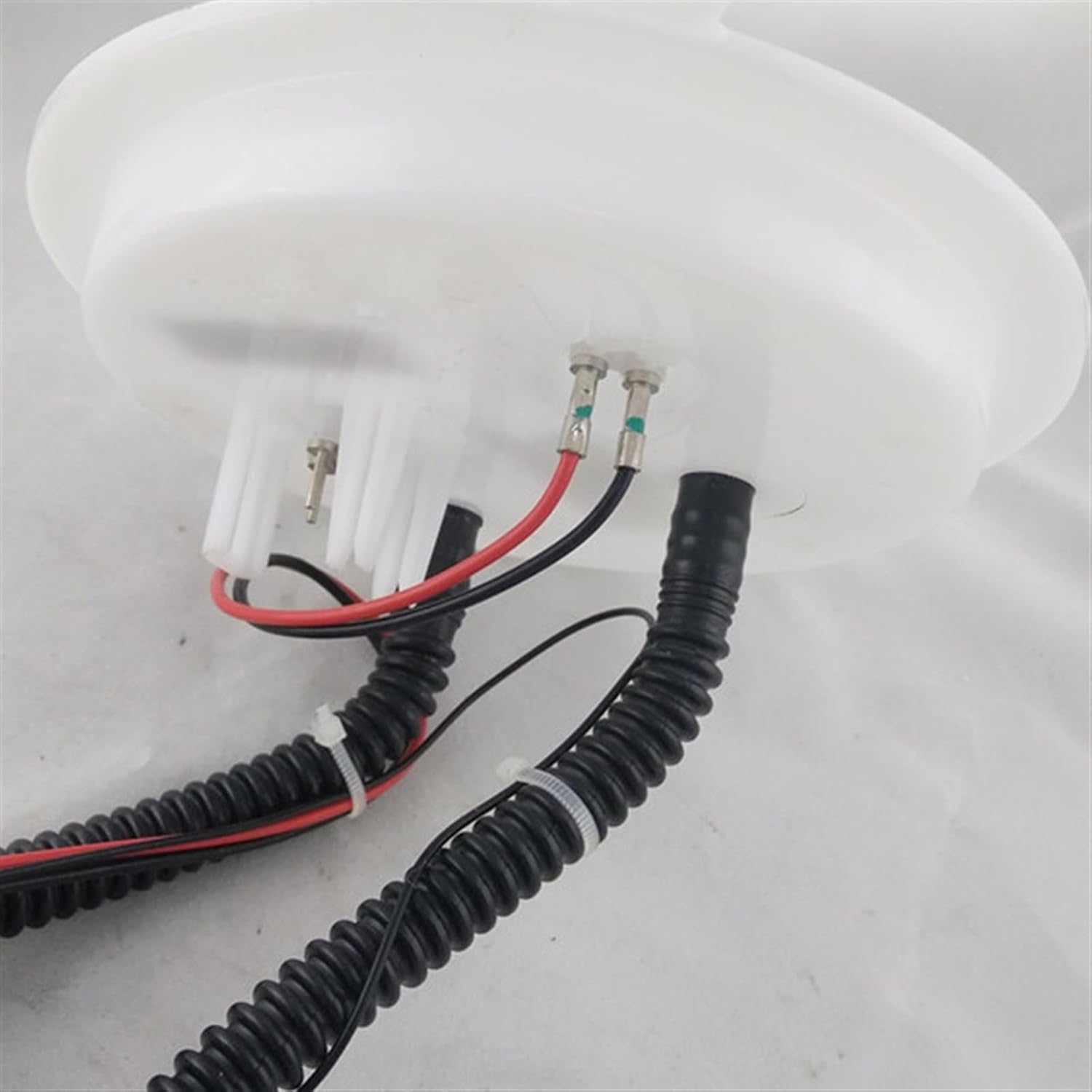 市川健太 高橋良 ピックアップタオル ウルフドックス名古屋 市川健太