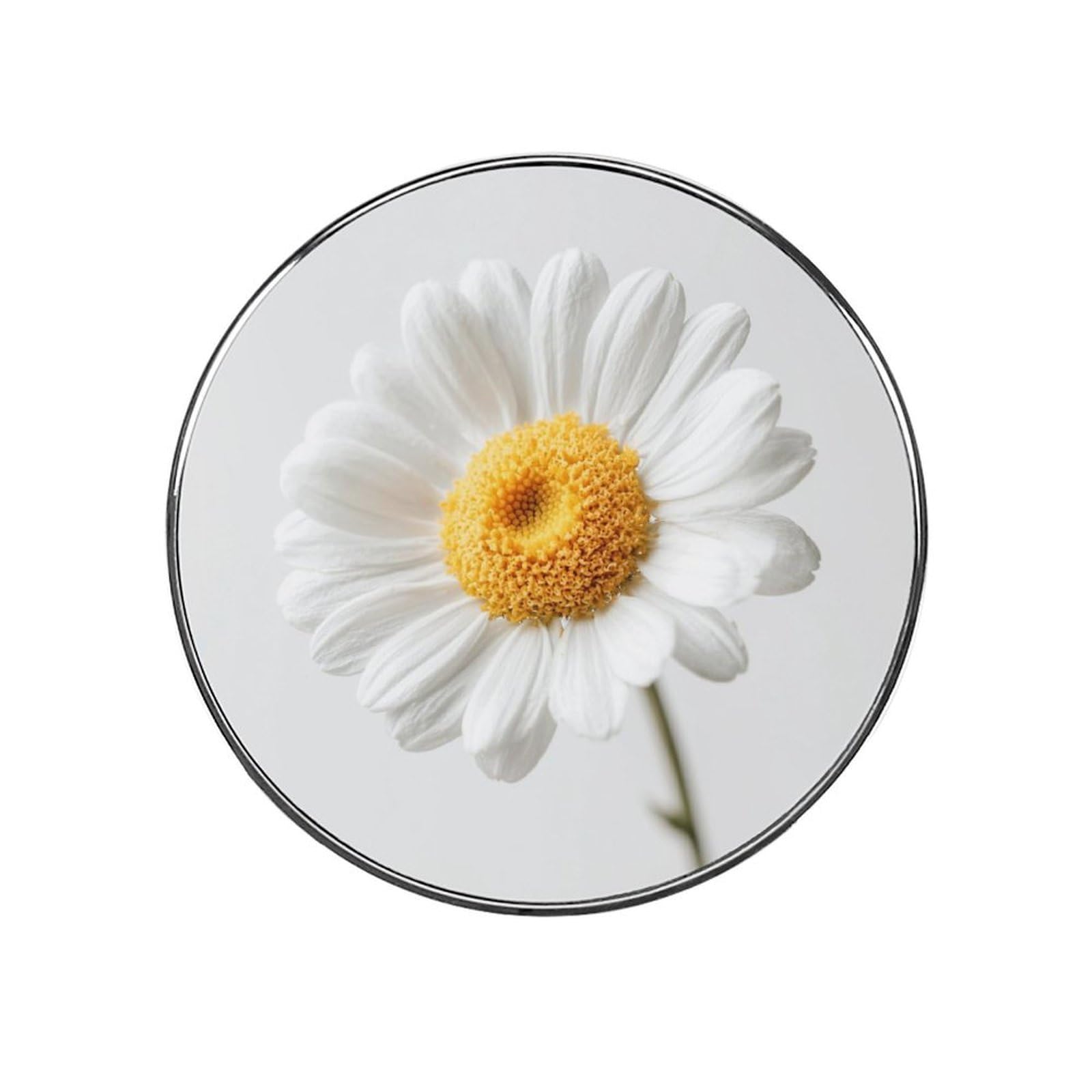 Delicate White Daisy Flower Fridge Magnets DIY Art Round Magnetic Refrigerator Sticker for Home Kitchen Car Garage Decor