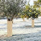 Zoom IMG-2 gifyym coperture per piante l Zoom IMG-2 gifyym coperture per piante l