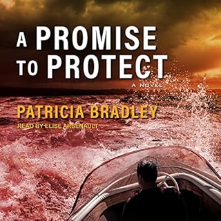 A Promise to Protect Audiolibro Por Patricia Bradley arte de portada