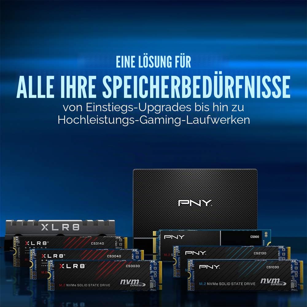 PNY CS1030 250GB M.2 NVMe PCIe Gen3 x4 2500MB/s Lesegeschwindigkeit 1100MB/s Schreibgeschwindigkeit Internal Solid State Drive (SSD)