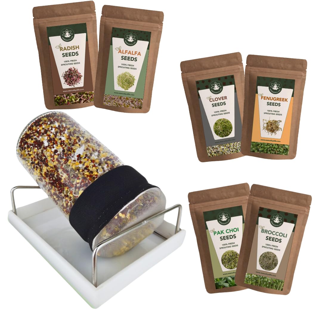 Manushya Life | Sprouting jar kit with Combo of Alfalfa, Clover, Radish, Fenugreek, Pak choi & Broccoli Seeds | Sprouts Maker - Glass Jar with Strainer Cap and Lid, Stainless Steel Jar Stand, Tray (B0D1GQHPSY) Amazon Price History, Amazon Price Tracker